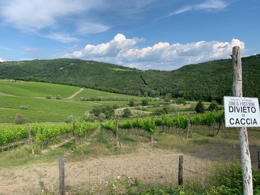 TUSCANY: WINE TASTING IN THE HEART OF CHIANTI CLASSICO - The Chianti Classico Region