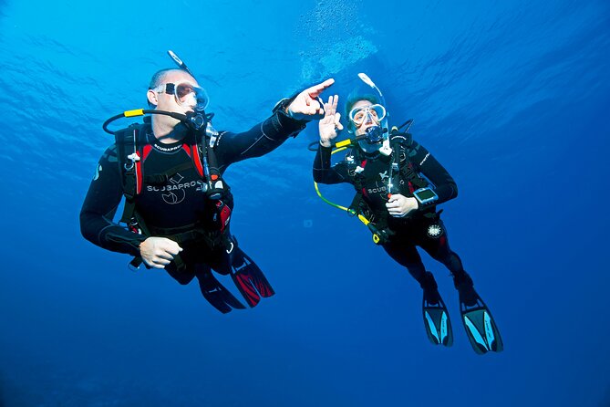 Two Morning Dives in Gozo for Certified Diver - Scuba Diving Equipment and Snacks