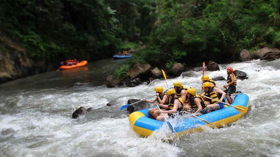 Ubud: Ayung River White Water Rafting Adventure Experience - Highlights