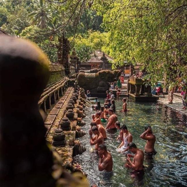 Ubud : Highlight Ubud Village, Culture and Waterfall Tours - Tegallalang Rice Terrace