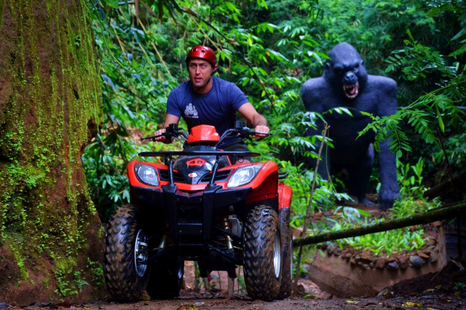 Ubud: Highlights Real ATV Adventure at Dadi Bali Adventure - Stunning Natural Scenery