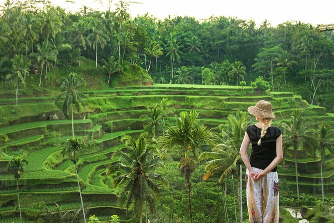 Ubud: Monkey Forest, Jungle Swing, Rice Terrace, and Water Temple - Pickup Locations