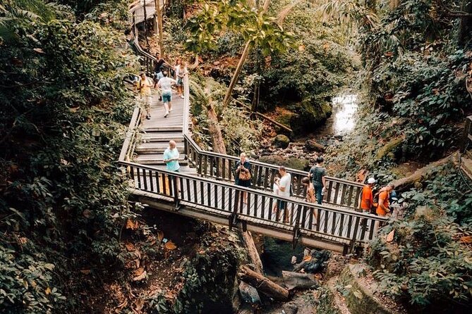 Ubud: Monkey Forest, Rice Terraces, Hidden Waterfall, Water Temple - Dipping in Ulu Patano Waterfall