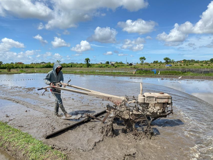 Ubud : PRIVATE Bike Tour Inside Rice Field With Meal & Pool - Inclusions and Amenities