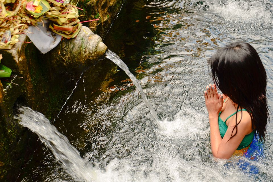 Ubud: Rice Terrace, Holy Water Temple & Waterfalls Trek Tour - Included Experiences