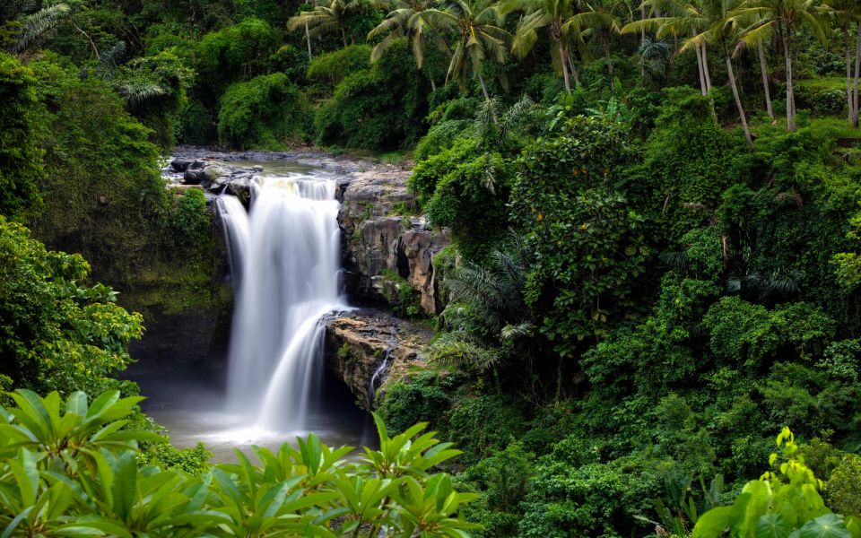 Ubud: Rice Terraces, Waterfall, and Monkey Forest Day Tour - Tegallalang Rice Terraces