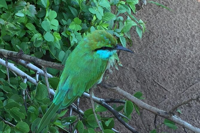 Udawalawe National Park | Private Safari With Naturalist - Meeting and Pickup Locations