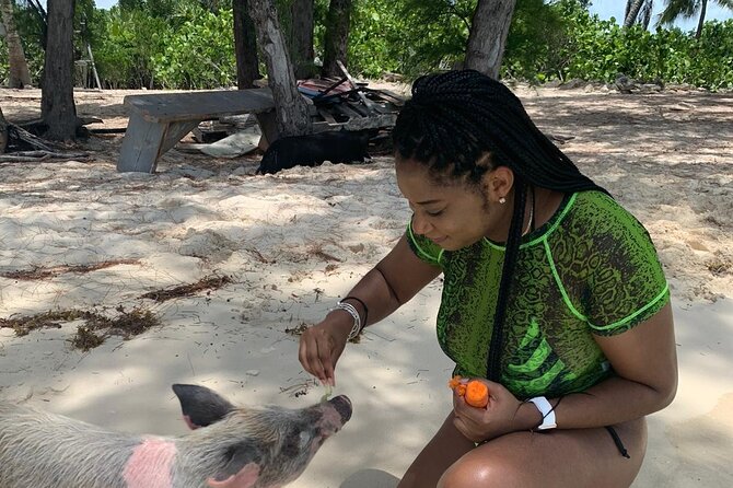 Ultimate SeaXscape! Pigs, Turtles, Snorkel, Lunch, Pickup/Dropoff - Interacting With Swimming Pigs