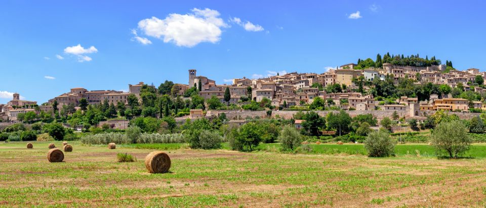 Umbria: Spello to Assisi Trekking on Mount Subasio + Lunch - Guided Hike Through History