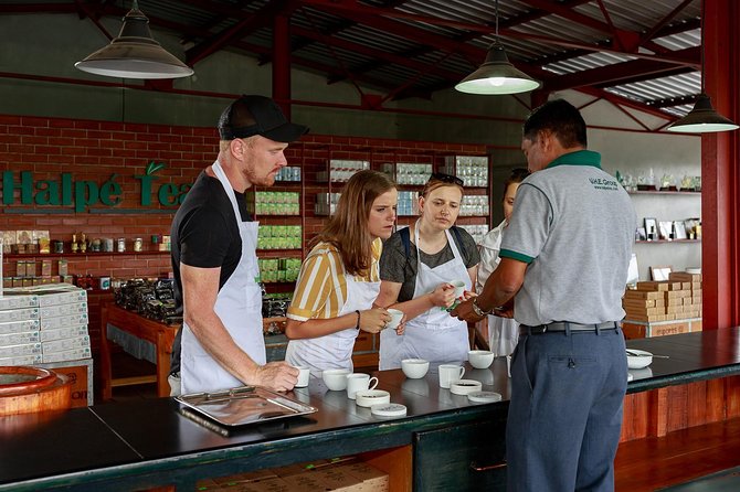 Uva Halpewatte Tea Factory Tour in Ella Sri Lanka - Inclusion and Exclusion