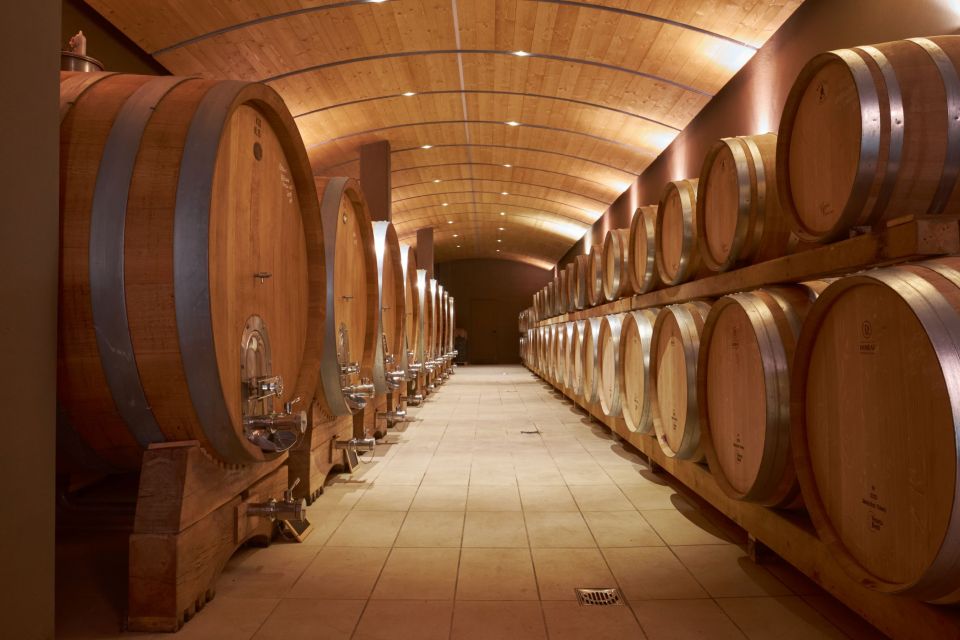 Valpolicella: Amarone Experience With Winery Visit - Winery Tour and Vineyard Discovery