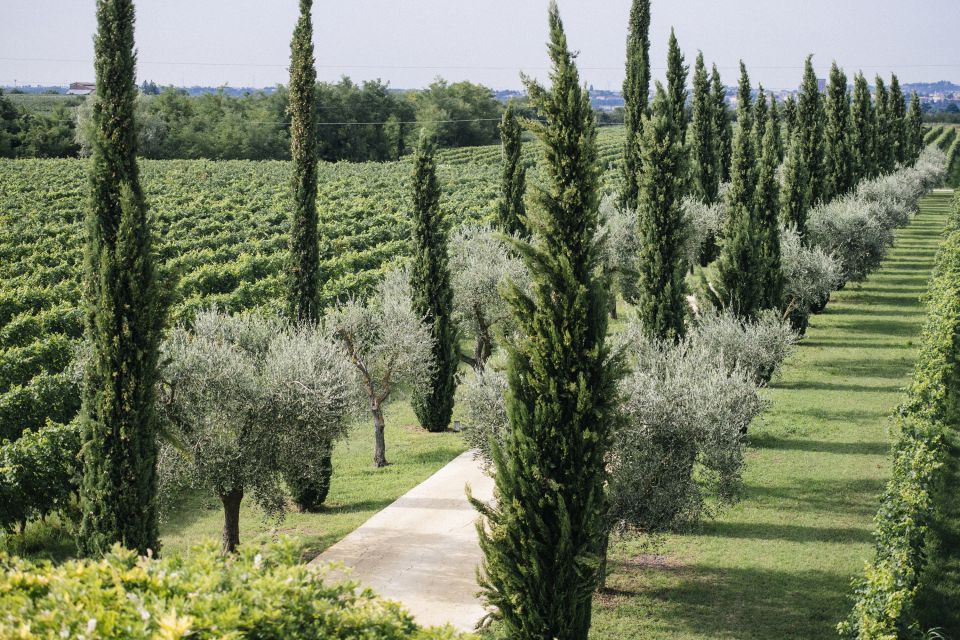 Valpolicella: Lunch or Dinner Tasting With Amarone - Pairing Menu and Seasonality