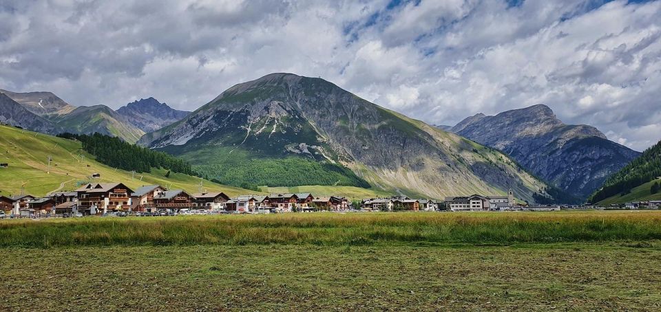 Valtellina Valley, Vineyards, and Bormio Thermal Springs - Visiting Teglio Vineyards for Wine Tasting