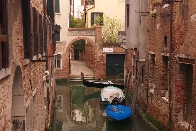 Venice Walking Tour of Most-Famous Sites Monuments & Attractions With Top Guide - Tour Logistics