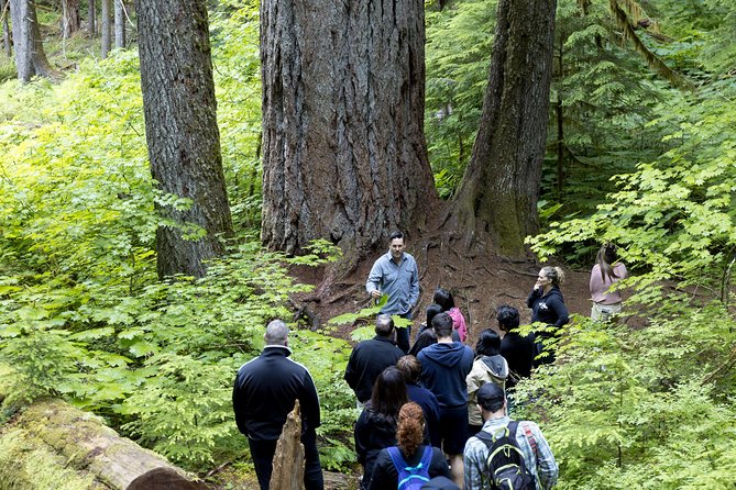 Viator Exclusive Day-Tour From Seattle to Mt. Rainier - Additional Information