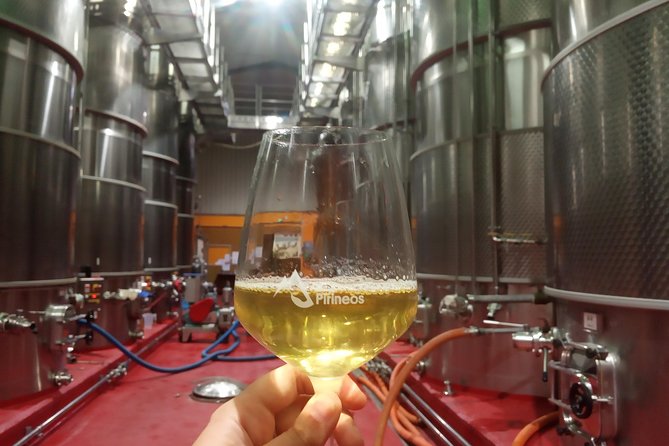 Visit and Wine Tasting With Sausage and BODEGA PIRINEOS Cheese - Meeting and Pickup Details