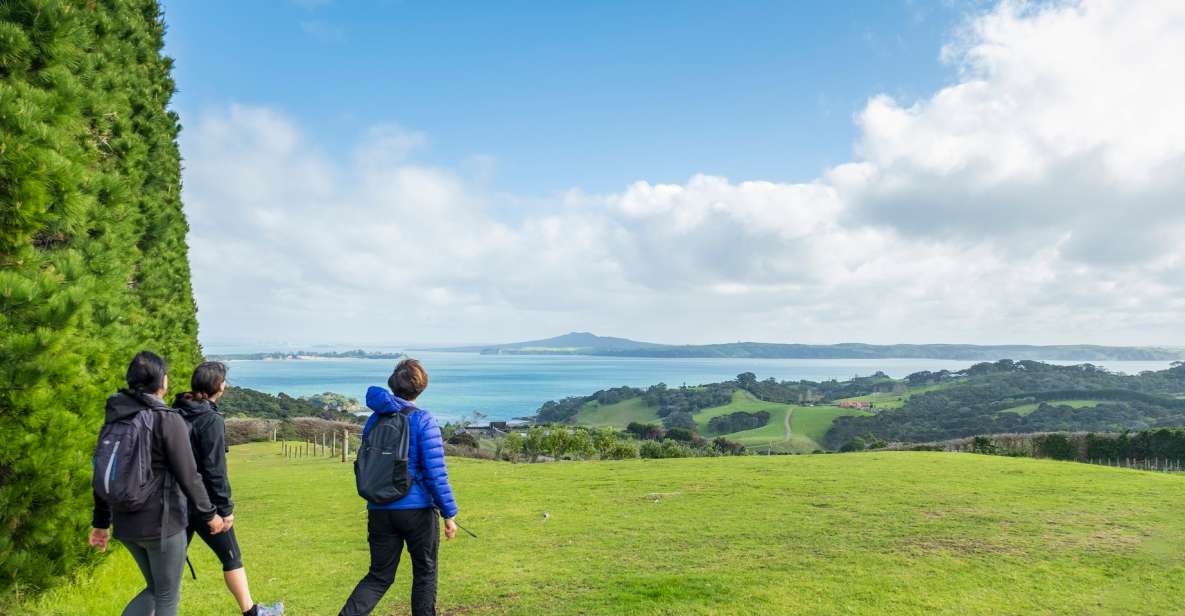 Waiheke Island: Double Headland Premium Guided Coastal Walk - Meeting Point and Time