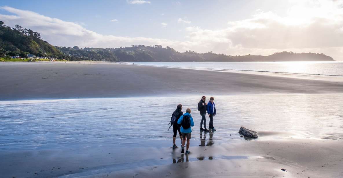 Waiheke Island: Forest and Beach Premium Guided Walk - Tour Highlights