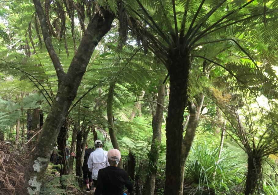 Waiheke Island: Private Guided Te Ara Hura 5-Day Walk - Inclusions