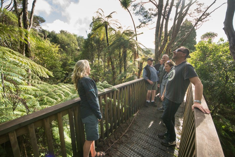 Waitakere Ranges Wilderness Experience Tour From Auckland - Booking Information