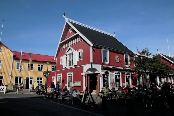 Walking Tour of Reykjavik City - Icelandic Snacks
