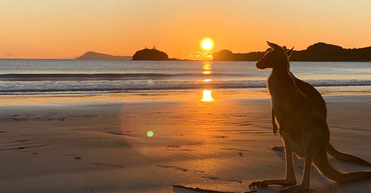 Wallabies on the Beach Sunrise Trip From Mackay - Cancellation Policy Details