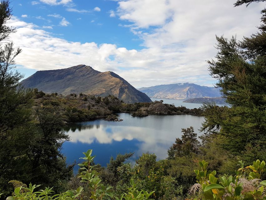 Wanaka: Water Taxi & Mou Waho Island Tour - Customer Reviews