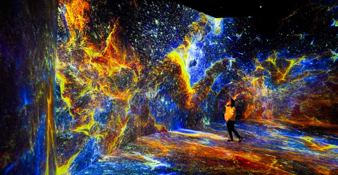 Washington, DC: ARTECHOUSE Immersive Art Experience Ticket - Inclusions in the Ticket