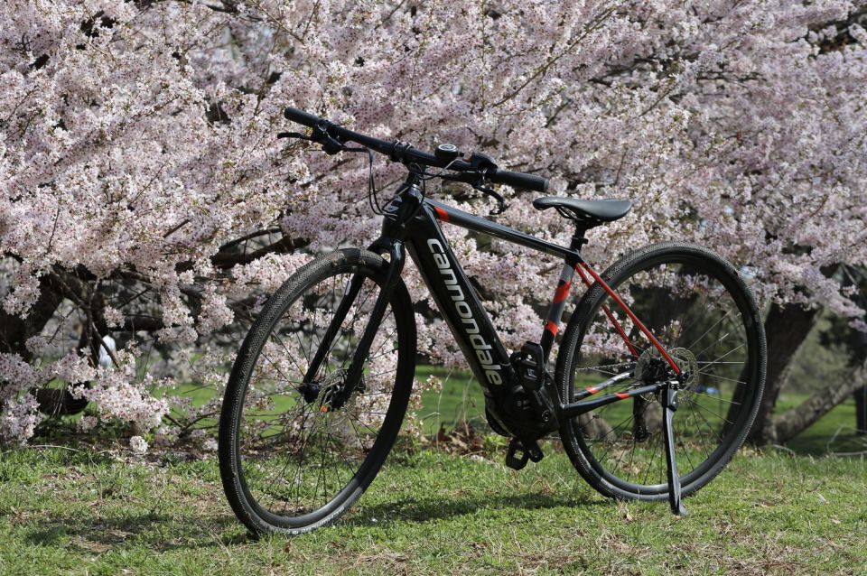 Washington DC: Cherry Blossom Festival Tour by Bike - Explore the MLK Memorial