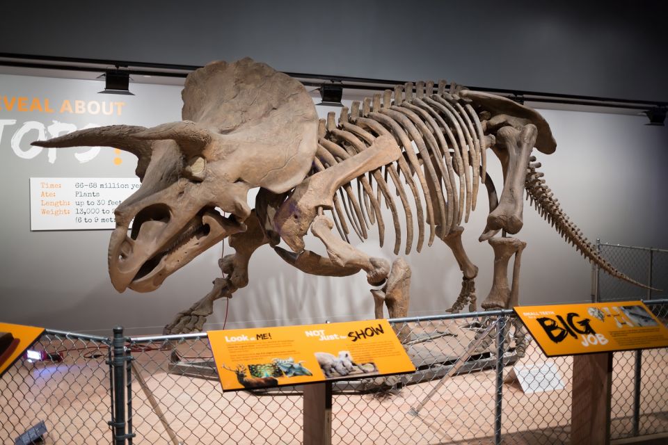 Washington DC: Museum of Natural History Private Guided Tour - Interactive Kid-Friendly Activities