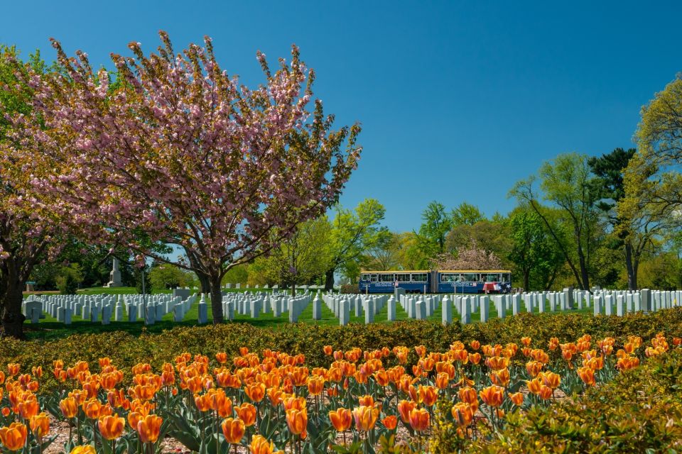 Washington, DC: Old Town Hop-On Hop-Off Trolley City Tour - Ticket Options and Pricing