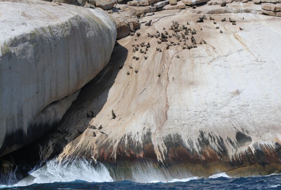 Welshpool: Wilsons Promontory Nature and Wildlife Day Cruise - Inclusions