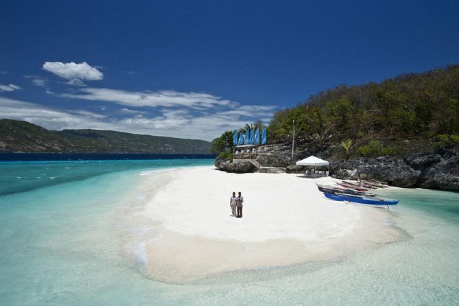Whale Shark Encounter and Sumilon Sandbar With Kawasan Falls - Tumalog Falls
