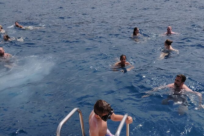 Whale Watching Catamaran in Costa Adeje (Including Drinks & Sandwich) - Activity Start and End Times