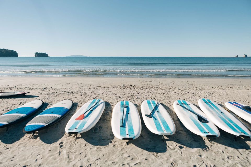 Whangamata: Donut Island Guided Kayaking Experience - Donut Island Description