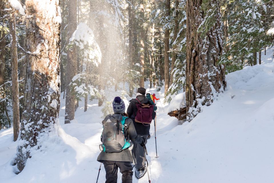 Whistler: Backcountry Snowshoeing Tour With Guide - Highlights of the Experience