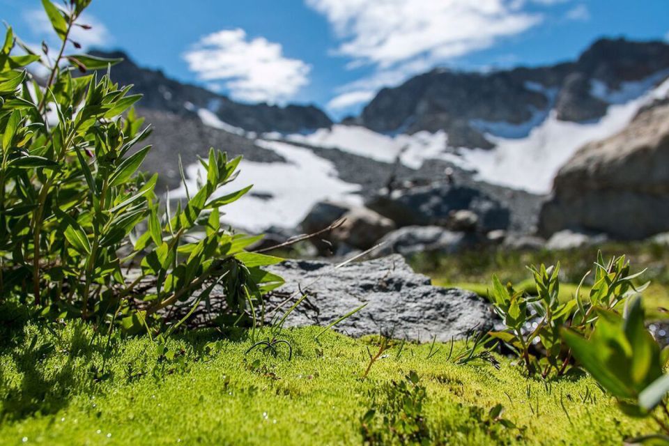 Whistler: Guided Glacier Discovery Hike - Gear Included in the Tour