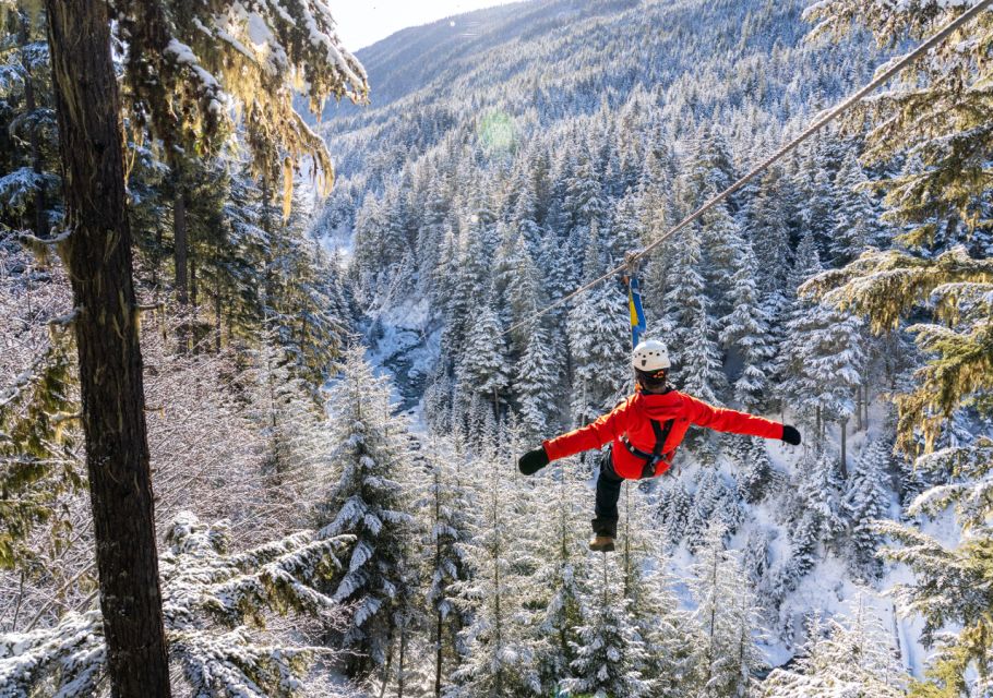 Whistler Zipline Experience: Ziptrek Eagle Tour - Zipline and Bridge Activities