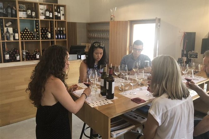 Windmills of Don Quixote Wine Tour & Tasting From Madrid - Small Group Tour Experience