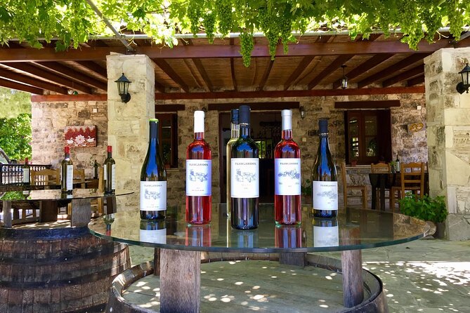 Wine Tasting and Winery Tour in Lemona Village, Paphos - Pairing of Wines With Local Delicacies