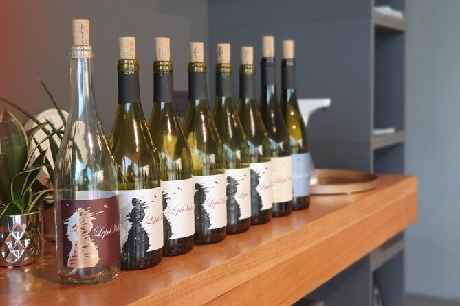 Wine Tasting With Pairing Snacks in Vipava Valley - Wines Sampled and Tasted