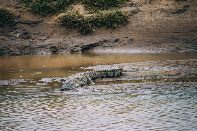 Yala Safari From Hambantota Port (Shore Excursion) by BTM - Experienced Driver and Spotting Wildlife