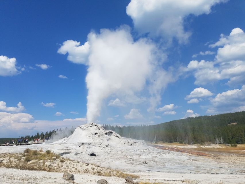 Yellowstone: Upper Geyser Basin Guided and Audio Tour - Geyser Viewing Opportunities