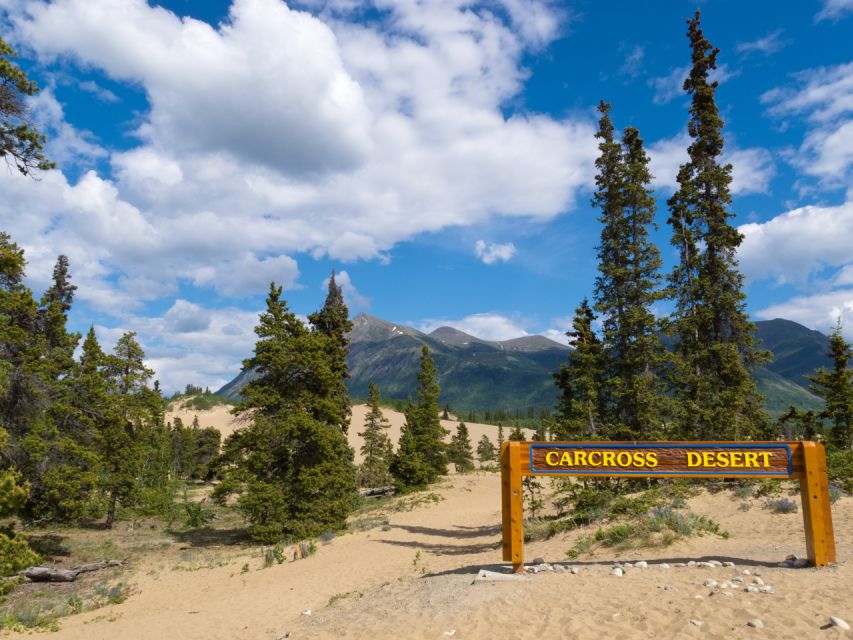 Yukon Escapade: Lakes, Wilderness, and Hidden Gems - Unexpected Carcross Desert Encounter