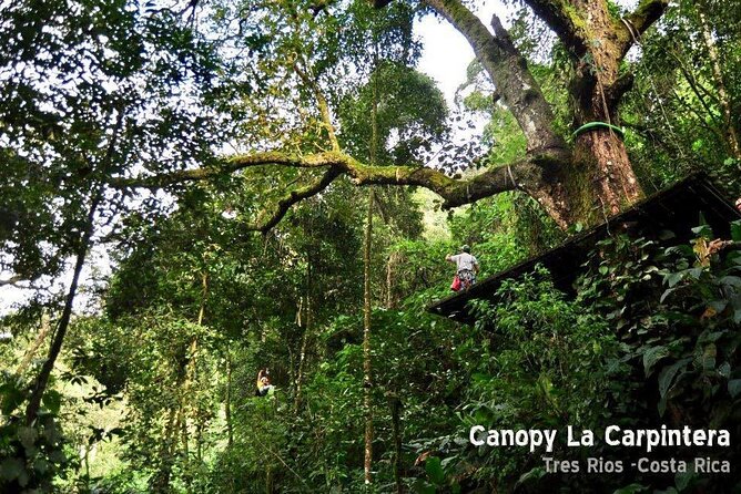 Zip Line, Rappel, Hiking La Carpintera Tour in San Jose - Inclusions and What to Expect