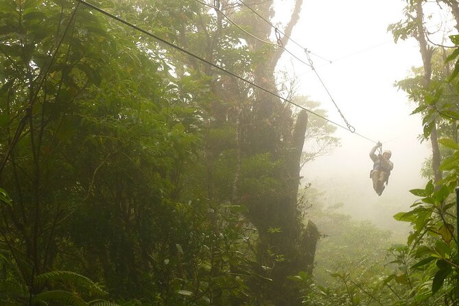 Zipline and Hanging Bridges Combo Tour in Monteverde Cloud Forest - Tips for a Great Experience
