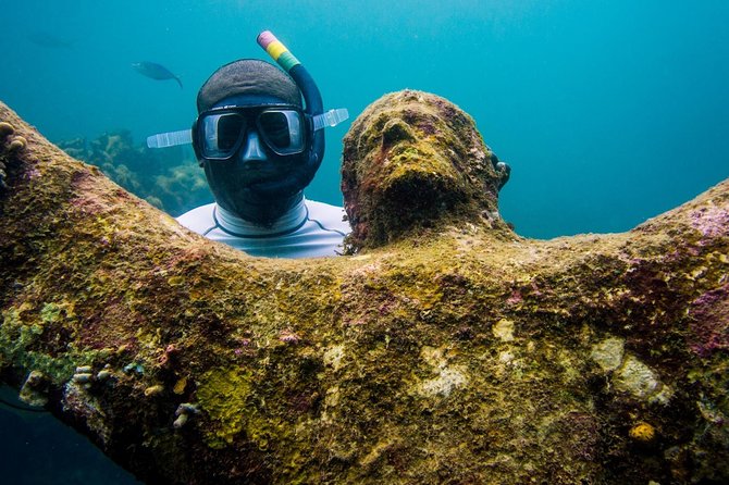 4-Hour Snorkel Cruise to Underwater Sculptures With Boat Dogs - Relax on Flamingo Bay Beach