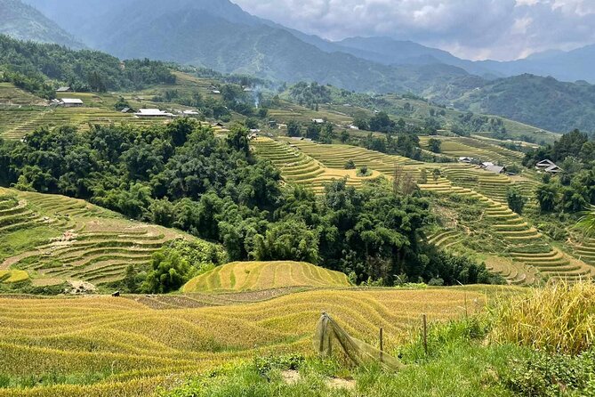 1 Day Sapa Authentic Trekking ( off Beaten Track ) - Group Size and Pricing