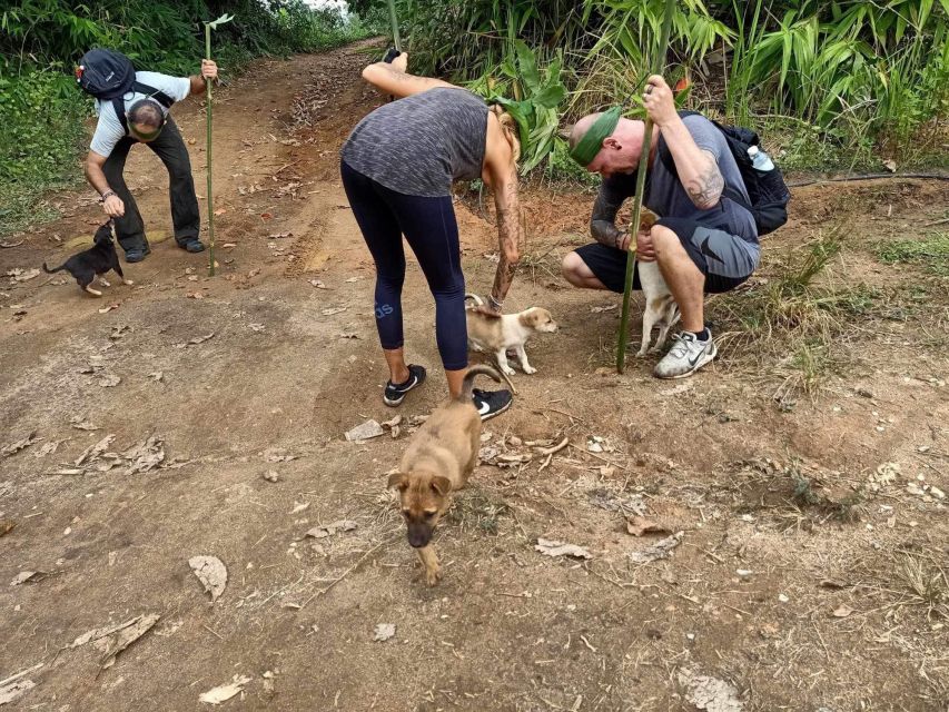 1 Day Trekking : Chiang Rai Popular Activity,Fun in Nature. - Activities