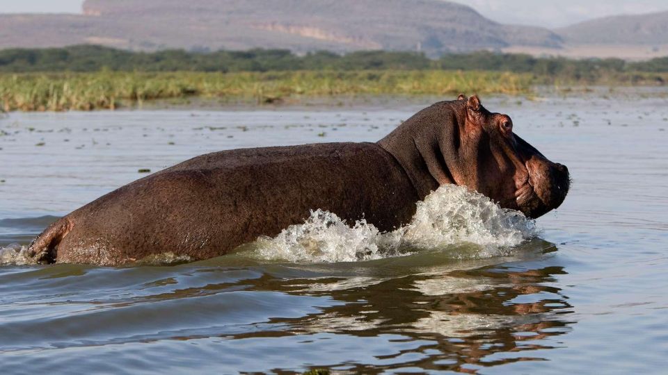 1 Day Trip to Hells Gate Park and Optional Lake Naivasha - Important Note